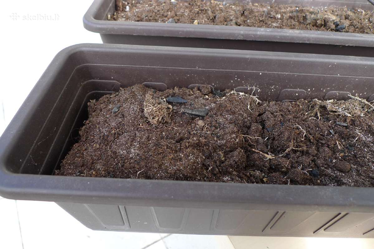 Didelis 40 x 31 molio ir 7vnt plastik.tik 30 Eur - nuotraukos Nr. 10