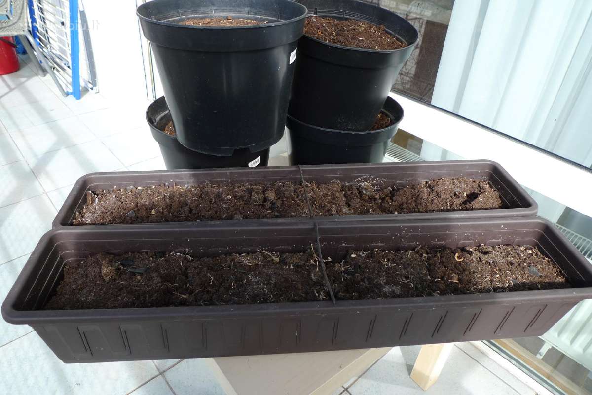 Didelis 40 x 31 molio ir 7vnt plastik.tik 30 Eur - nuotraukos Nr. 5