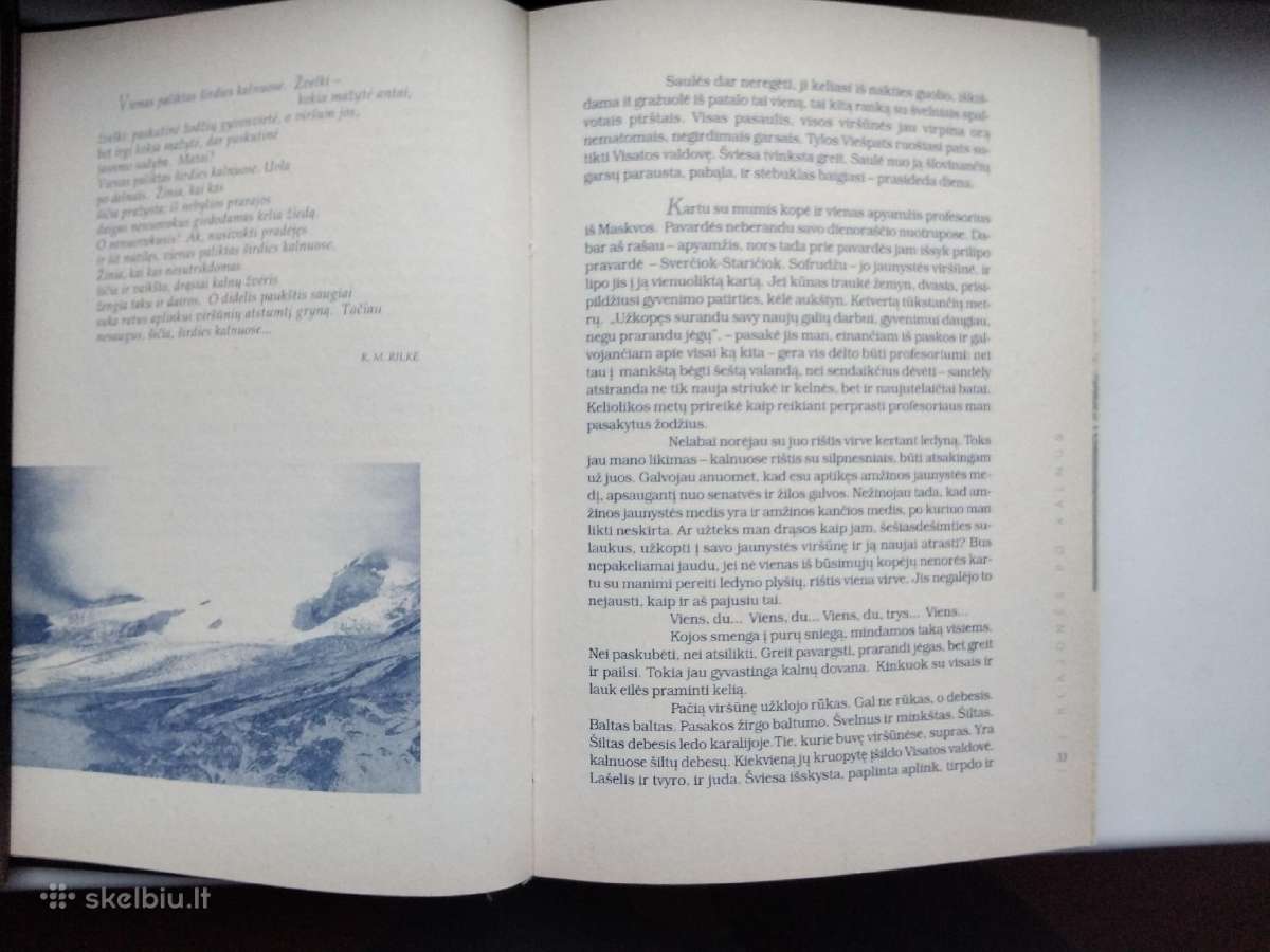 V. Narvilas. Himalajų šviesa. II t. - nuotraukos Nr. 9