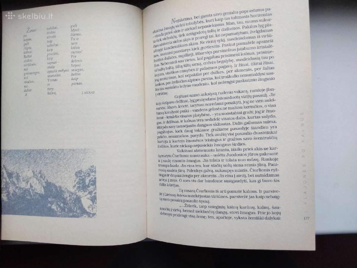 V. Narvilas. Himalajų šviesa. II t. - nuotraukos Nr. 11