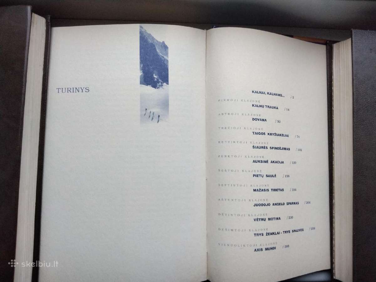 V. Narvilas. Himalajų šviesa. II t. - nuotraukos Nr. 14