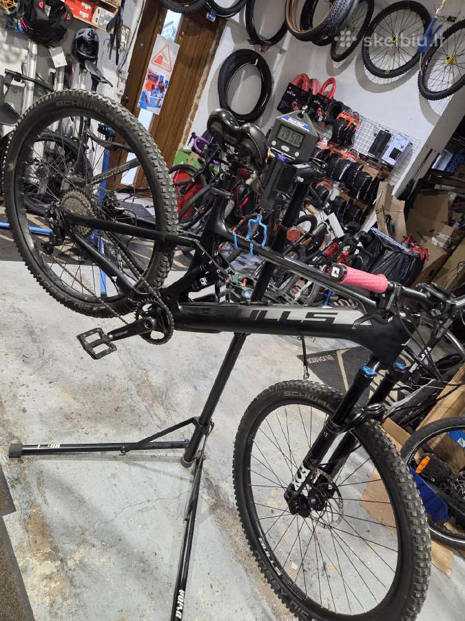 Bulls wild flow EVO RS Fazua