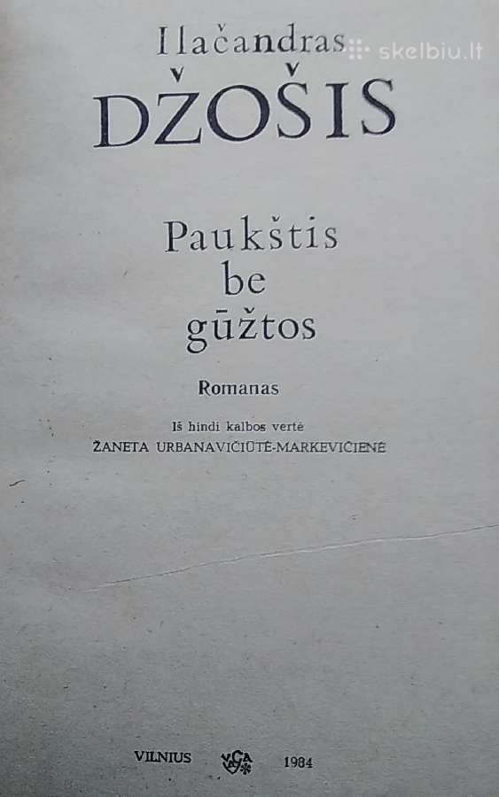 Paukštis be gūžtos - nuotraukos Nr. 2