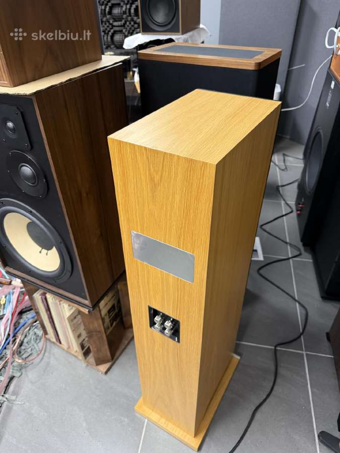 Proac D20r ribbon mapple koloneles - nuotraukos Nr. 29