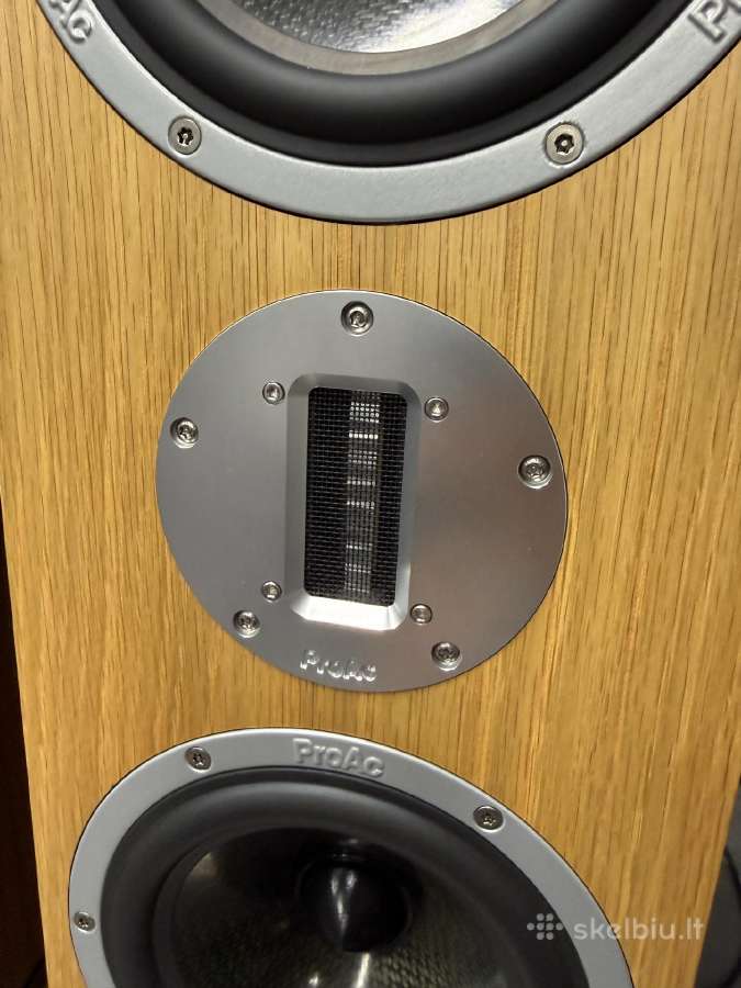 Proac D20r ribbon mapple koloneles - nuotraukos Nr. 34