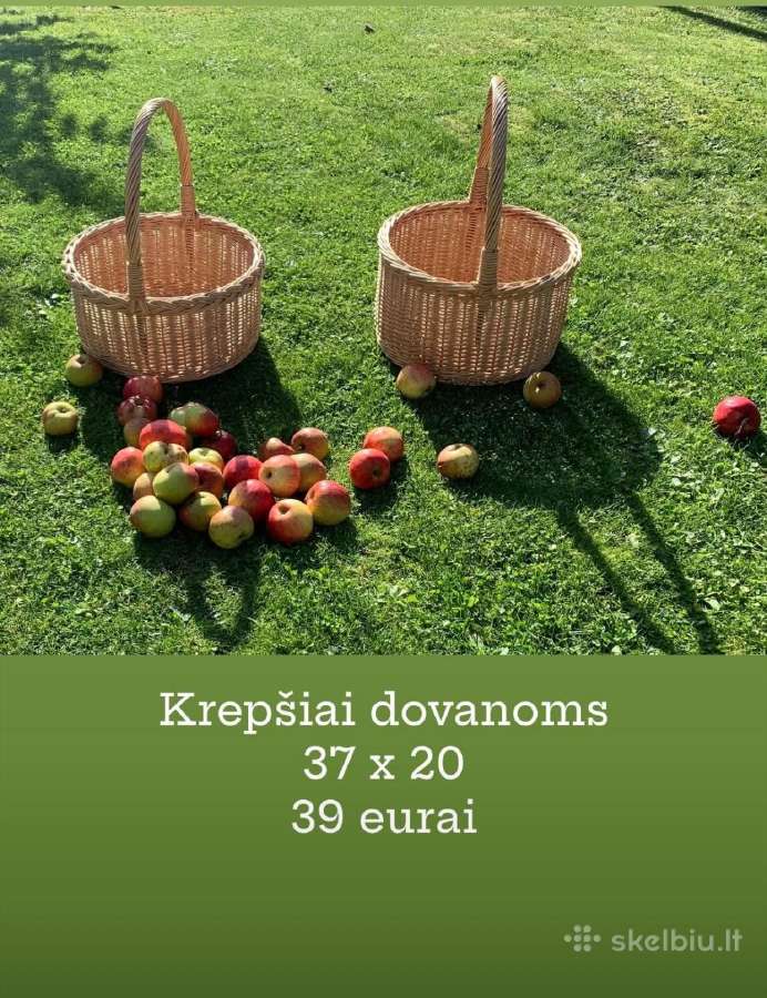 Pinti Krepšiai - nuotraukos Nr. 9
