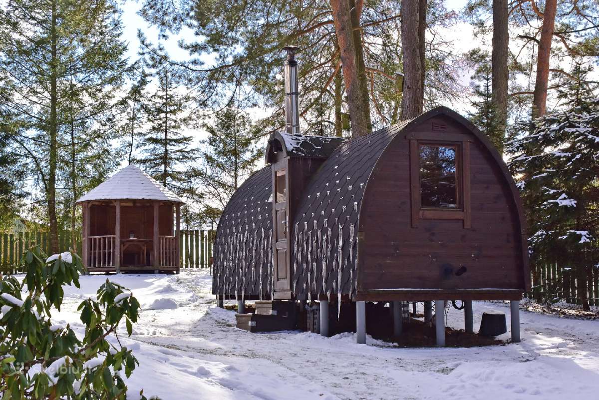 Medaus apartamentai su pirtimi prie ežero Trakų r - nuotraukos Nr. 8