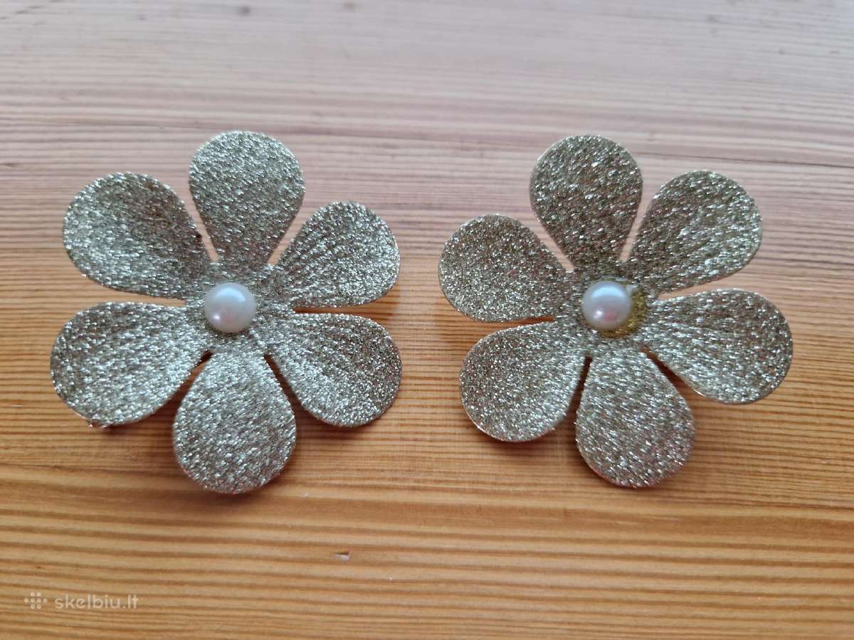 Blizgūs plaukų segtukai