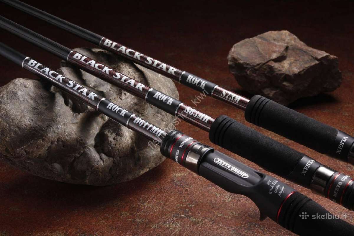 Xesta Black Star Rock S73m