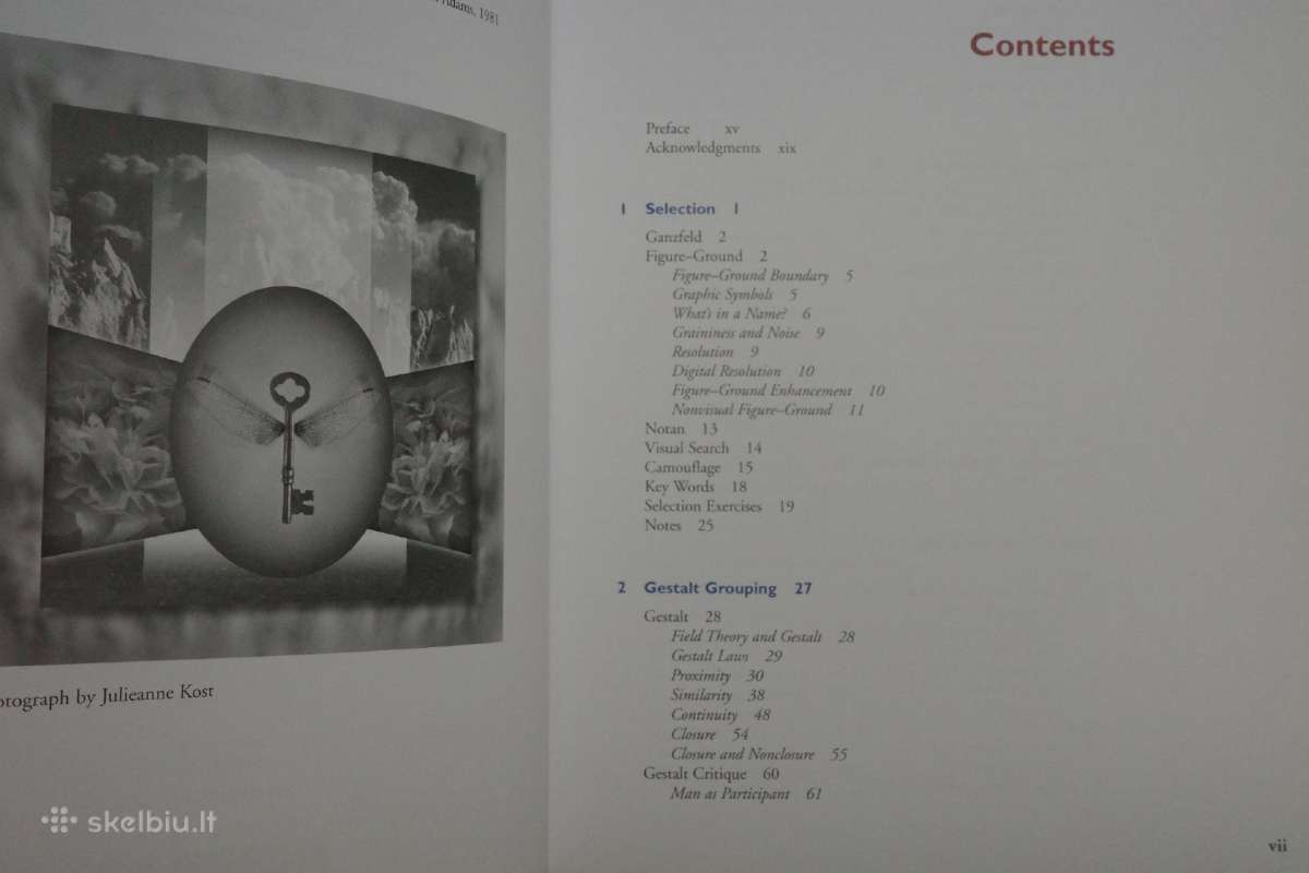 Knyga Photography Perception and Imaging - nuotraukos Nr. 2