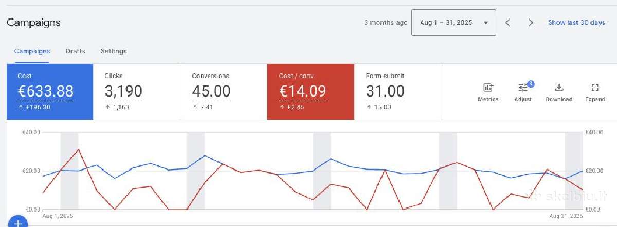 Google Ads reklama – daugiau klientų per 7 dienas - nuotraukos Nr. 3