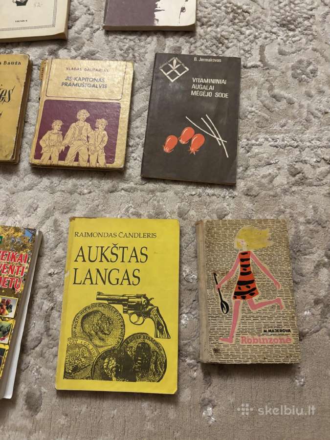 Parduodamos vertingos ir įdomios knygos - nuotraukos Nr. 13