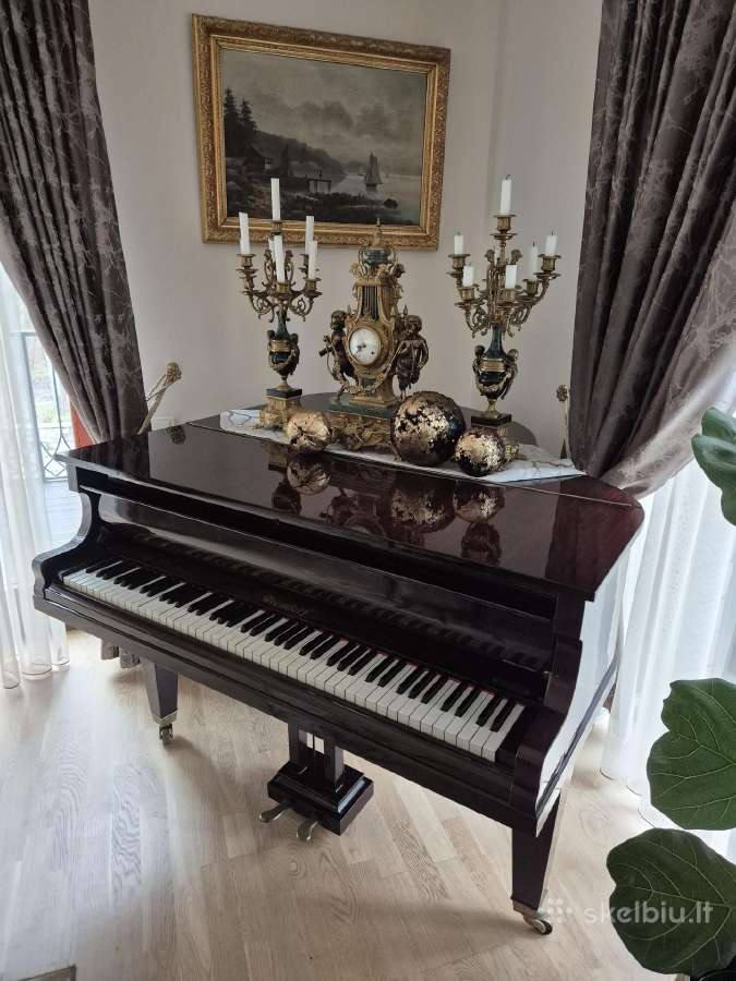 Fortepionas Niendorf Piano-thilemann Neuwied