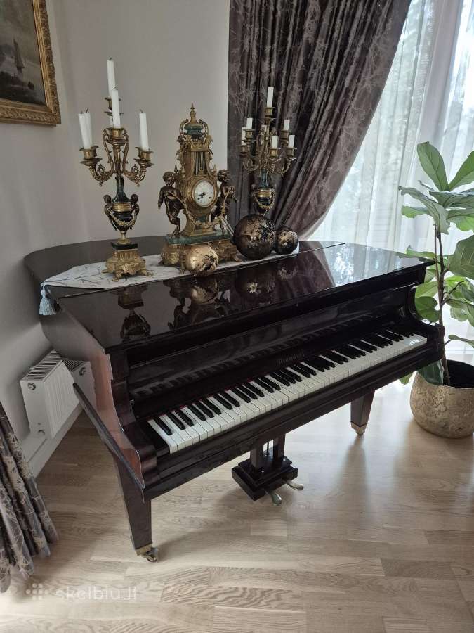 Fortepionas Niendorf Piano-thilemann Neuwied - nuotraukos Nr. 7
