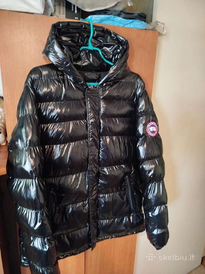 Canada Goose