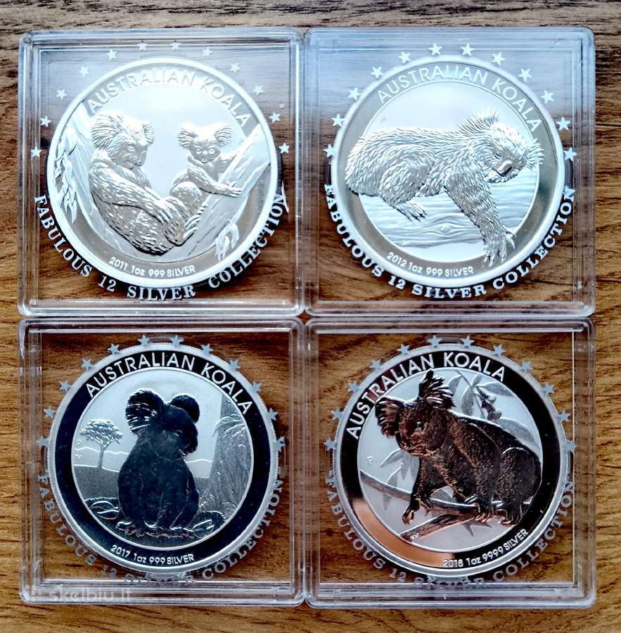 Australijos koalos skirtingų metų