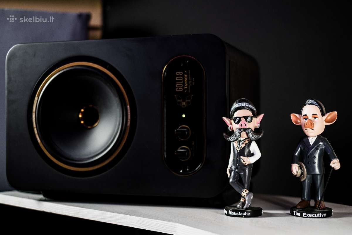 Tannoy Gold 8 pora
