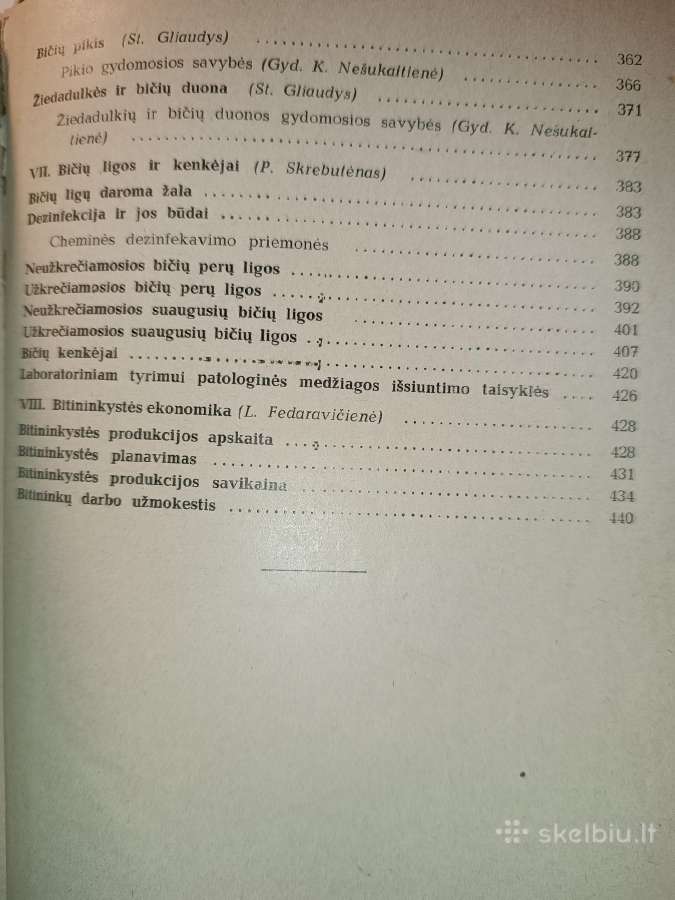 Bitininkystė - nuotraukos Nr. 2
