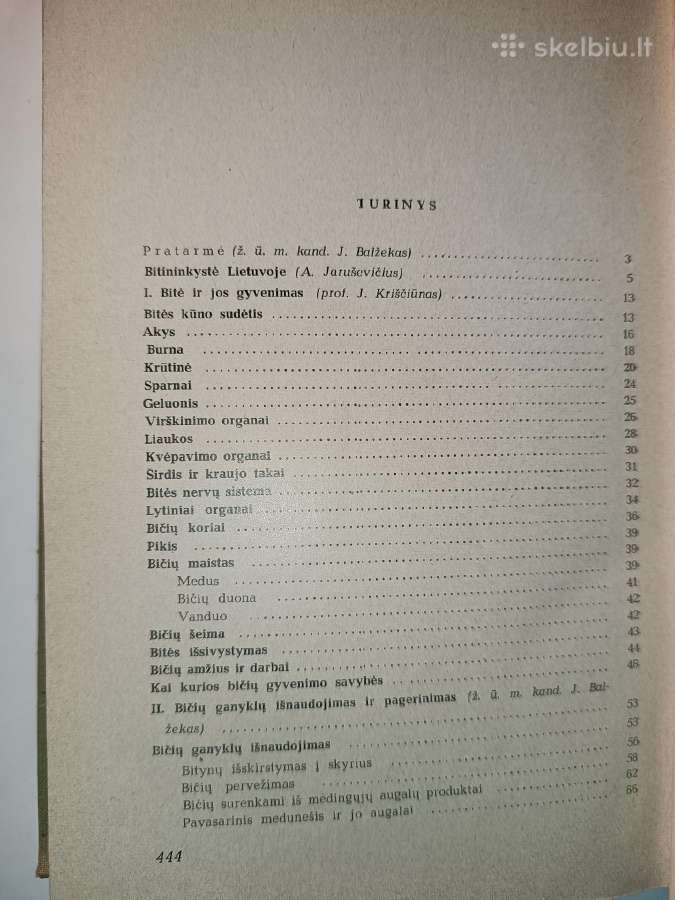 Bitininkystė - nuotraukos Nr. 5
