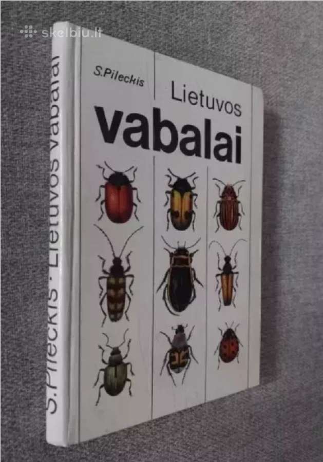 Lietuvos vabalai