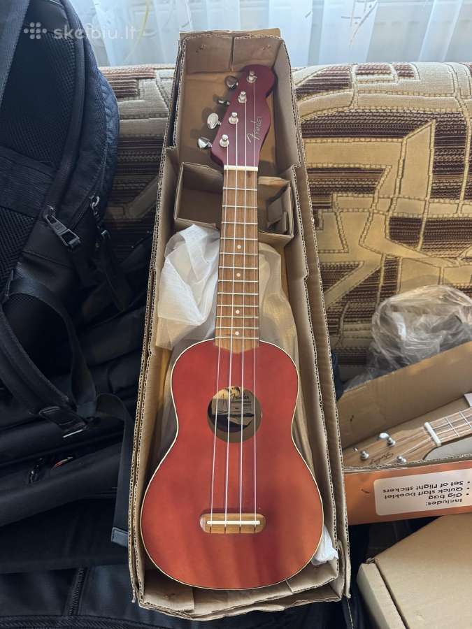 Įvairios gitaros, ukulėlės - nuotraukos Nr. 11