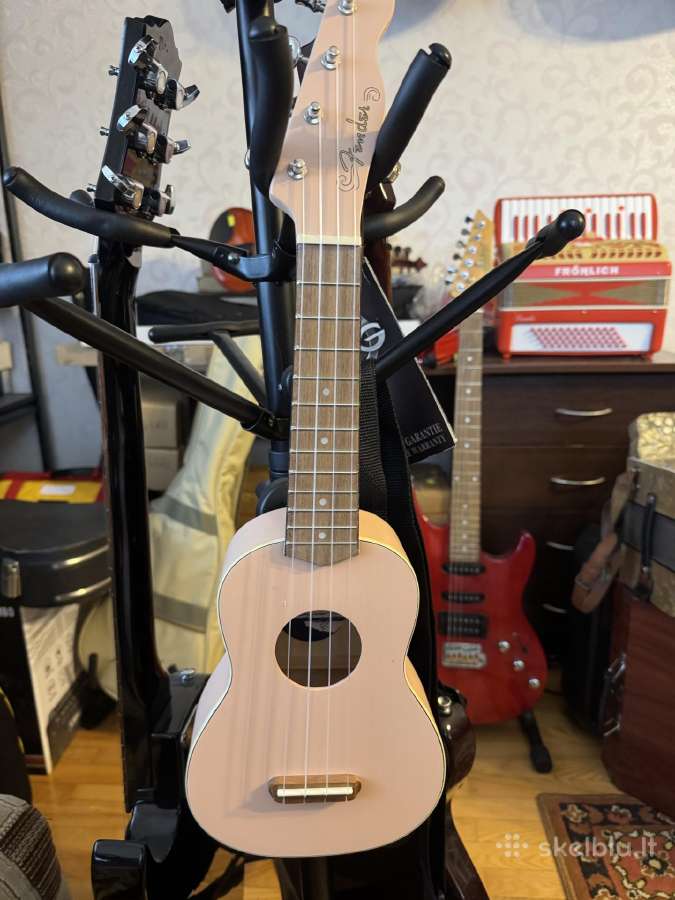 Įvairios gitaros, ukulėlės - nuotraukos Nr. 12