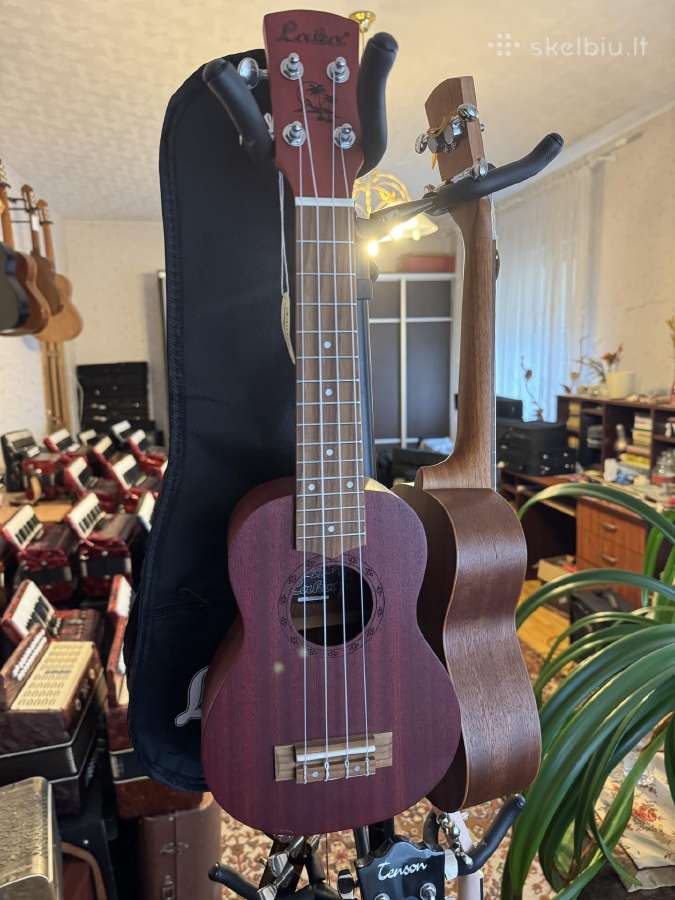 Įvairios gitaros, ukulėlės - nuotraukos Nr. 13