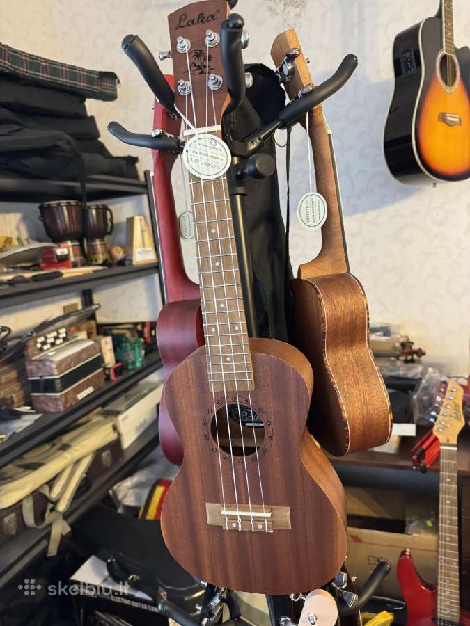 Įvairios gitaros, ukulėlės - nuotraukos Nr. 15