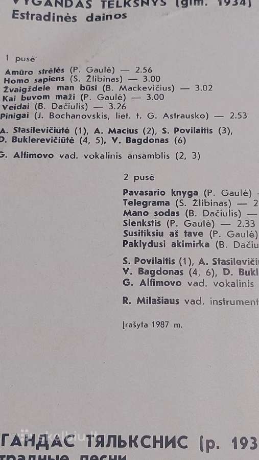 Vinilas - nuotraukos Nr. 3