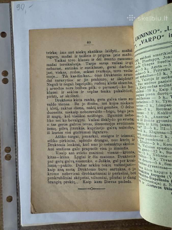 Žemaitė. Gera galva. 1910 m. - nuotraukos Nr. 6