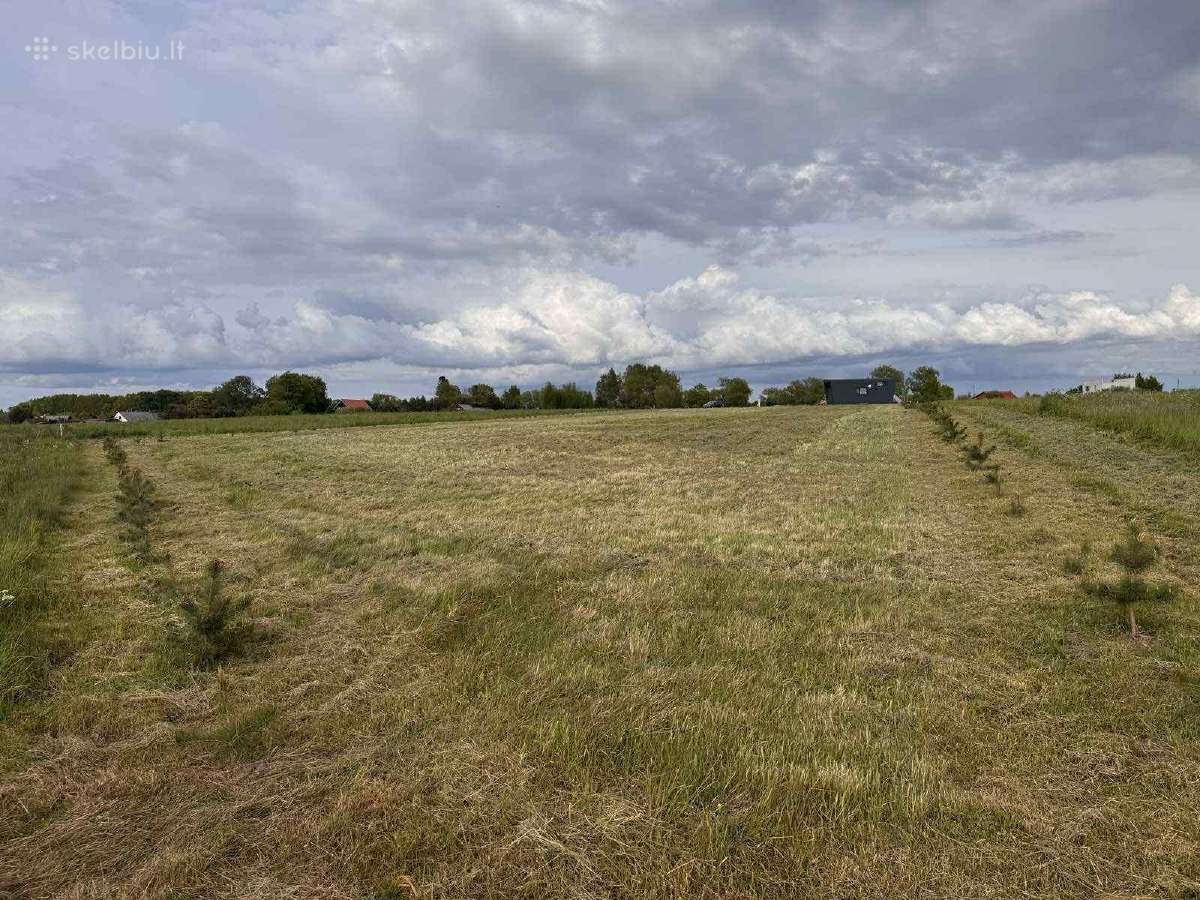 Sklypas Dreverna -Priekulė, 48 arų - nuotraukos Nr. 2