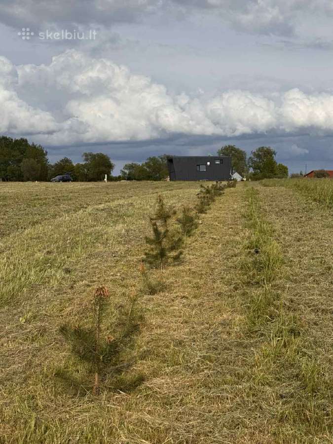 Sklypas Dreverna -Priekulė, 48 arų - nuotraukos Nr. 4