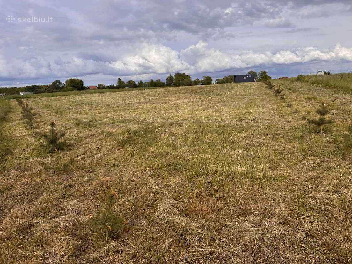 Sklypas Dreverna -Priekulė, 48 arų - nuotraukos Nr. 7