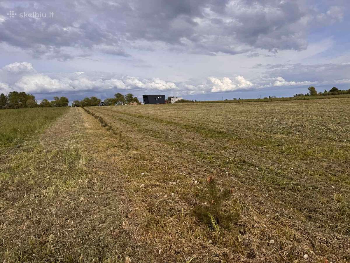 Sklypas Dreverna -Priekulė, 48 arų - nuotraukos Nr. 8