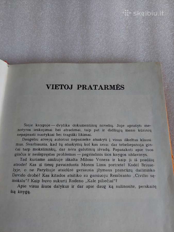 Vaza su kregždute - nuotraukos Nr. 3