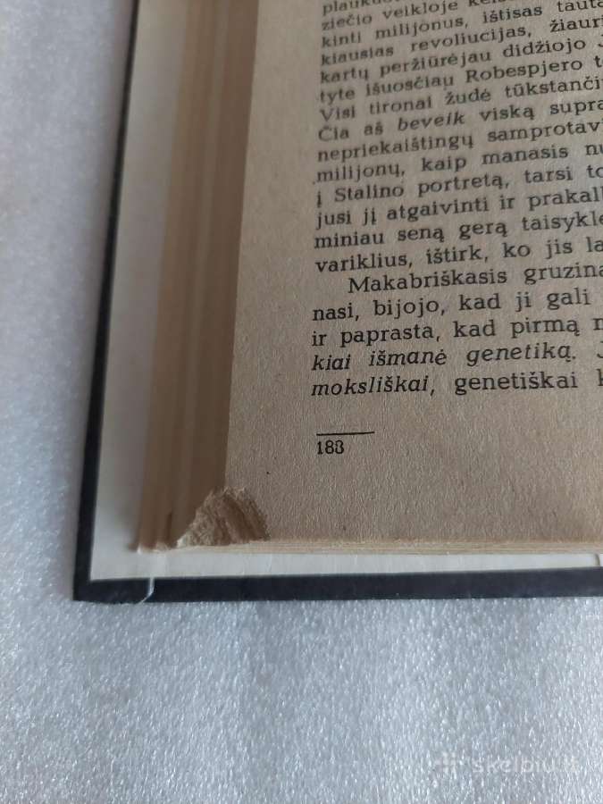 Vilniaus pokeris - nuotraukos Nr. 5