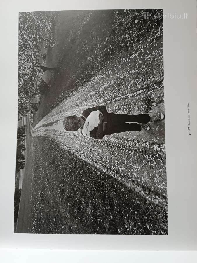 Romualdas Rakauskas. Fotografijos - nuotraukos Nr. 3