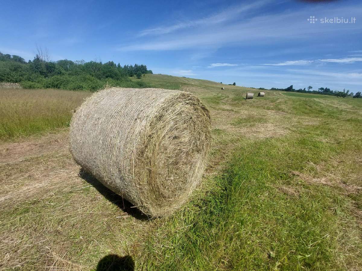 Parduodami šieno rulonai