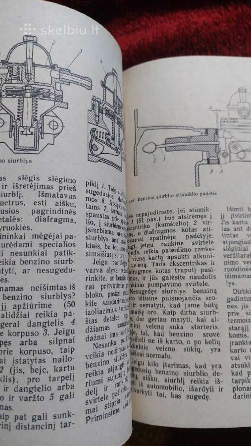 Ziguliai - nuotraukos Nr. 3