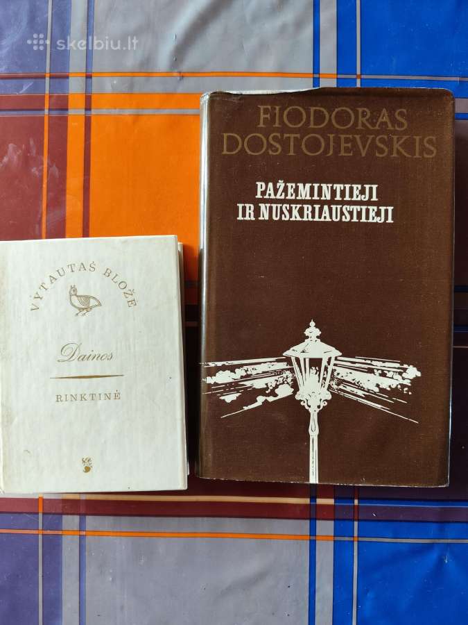 Knyga : Ciapajevas , Lietuvos istorija - nuotraukos Nr. 5