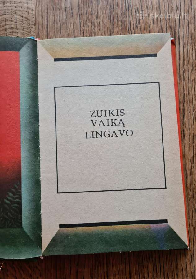 Su saule lijo - nuotraukos Nr. 3
