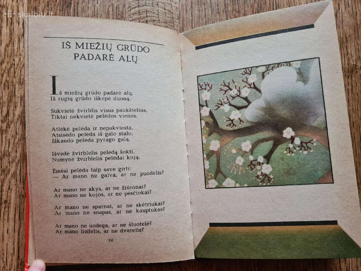Su saule lijo - nuotraukos Nr. 9