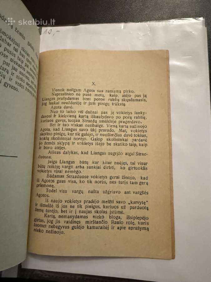 Trys dešimtys margų 1924 m. - nuotraukos Nr. 5
