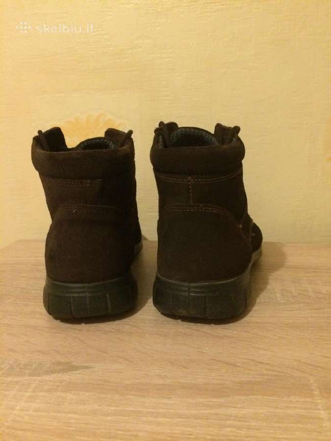 Aulinukai rudi - nuotraukos Nr. 2