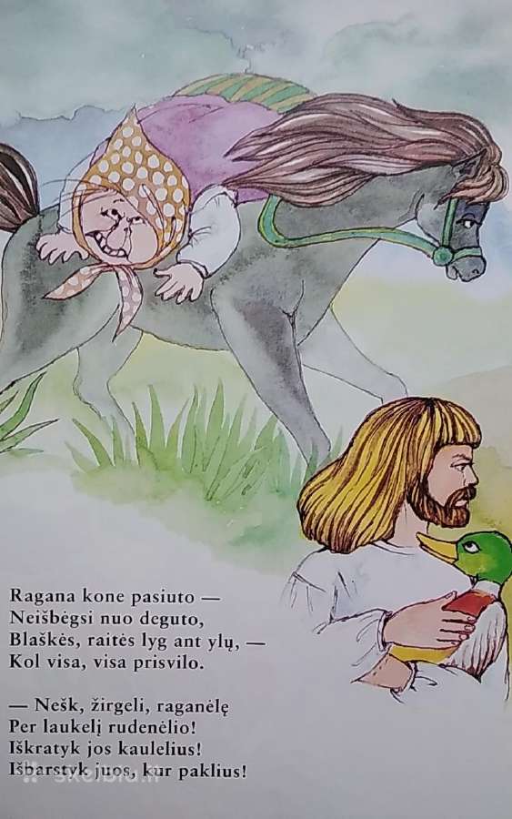 Našlaitė - nuotraukos Nr. 7