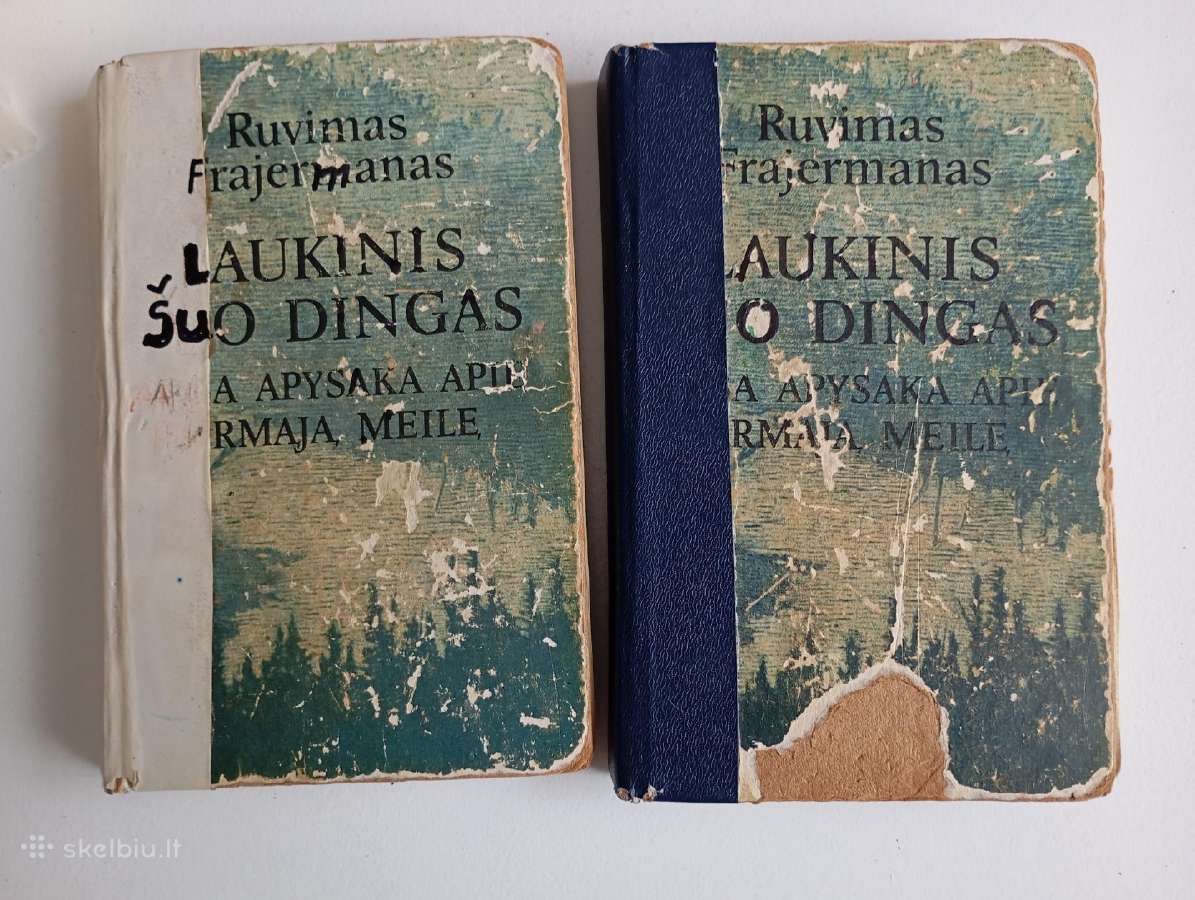 Laukinis šuo dingas