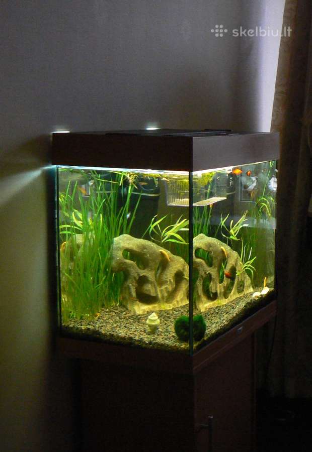 Juwel akvariumai