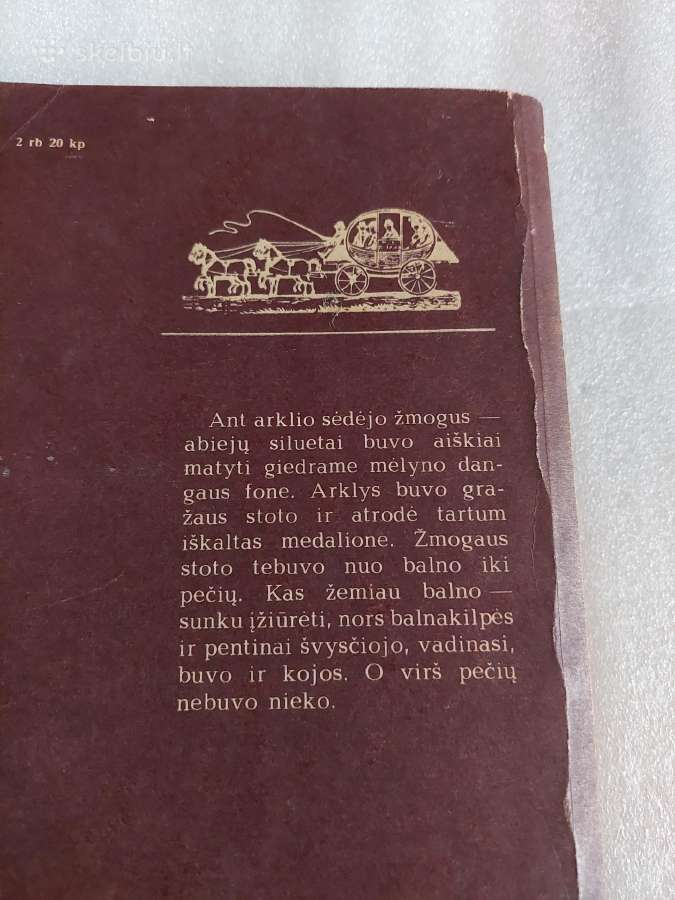 Raitelis be galvos - nuotraukos Nr. 3