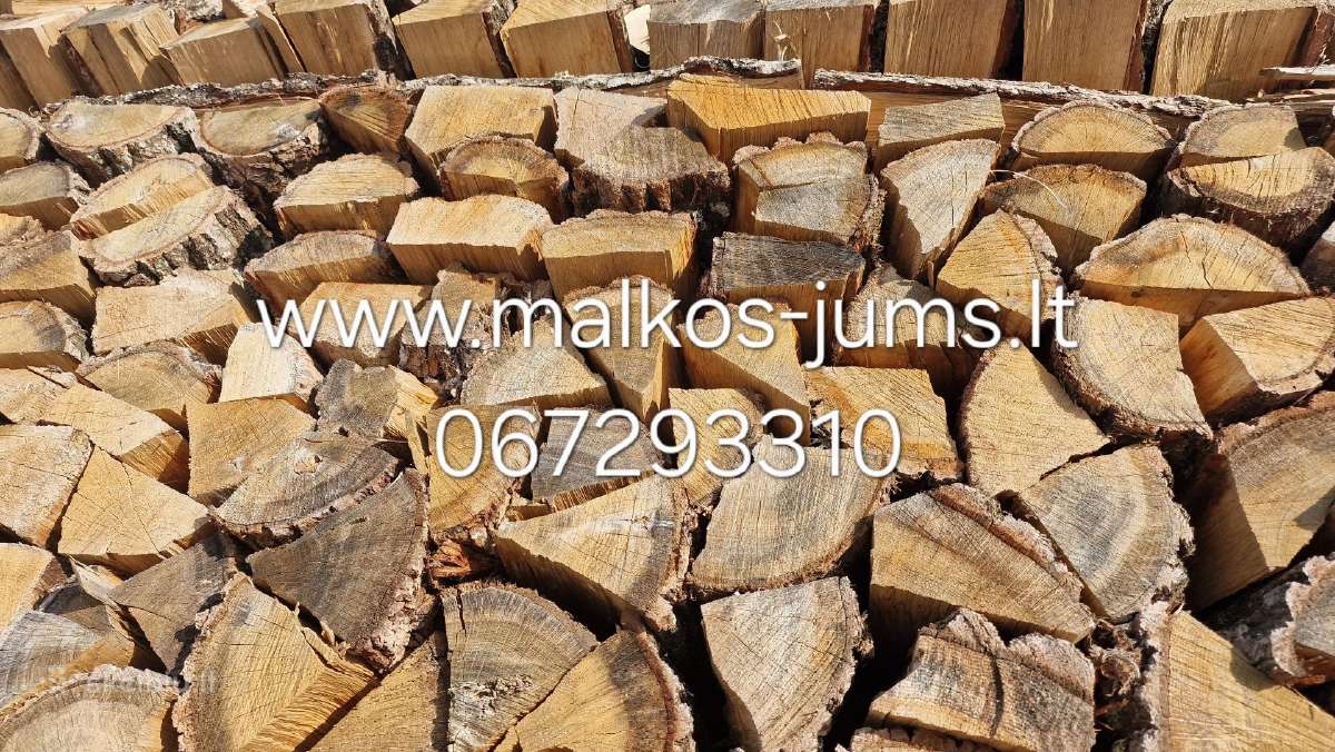 Malkos Vilnius - nuotraukos Nr. 2