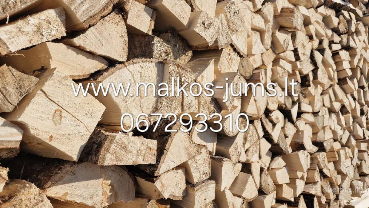 Malkos Vilnius - nuotraukos Nr. 3